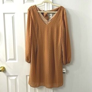LOWEST PRICES NWT international concept size M dress